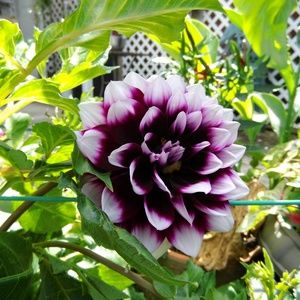 Meet your Posher, Kasia